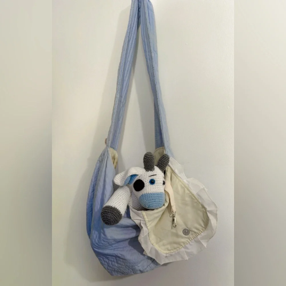 Cat or dog carrier